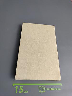 Гроза над Россией. Командарм