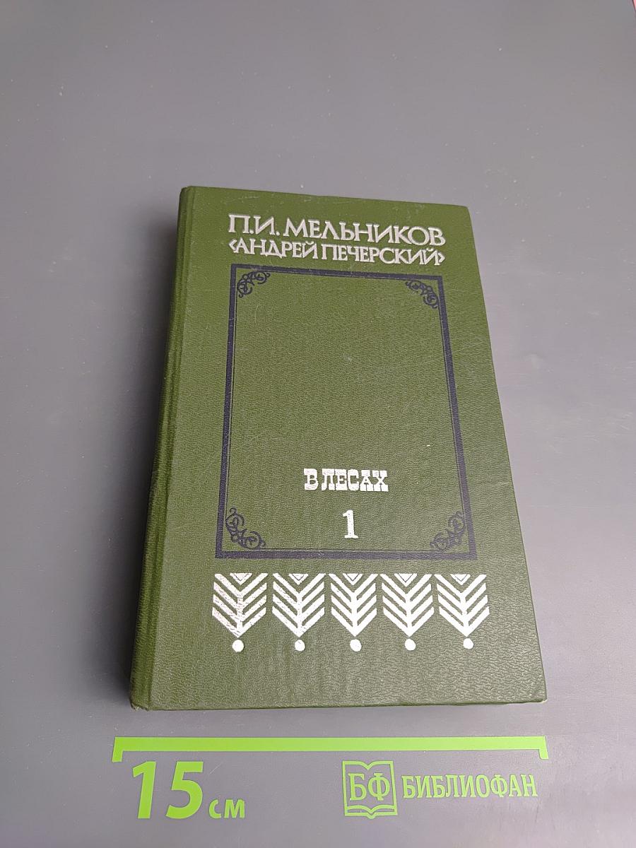 В лесах. Книга первая