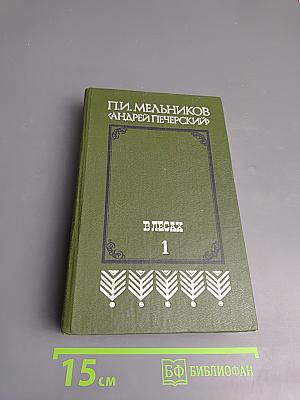 В лесах. Книга первая