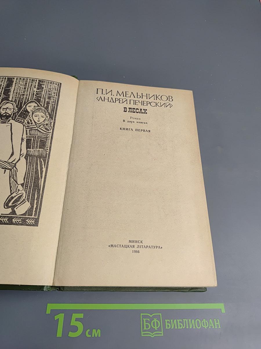 В лесах. Книга первая