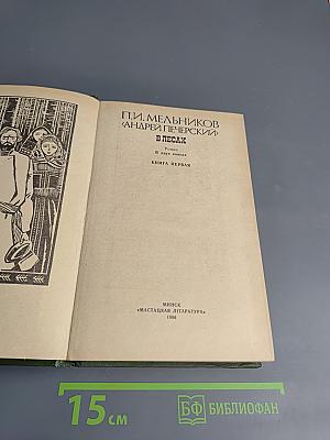 В лесах. Книга первая