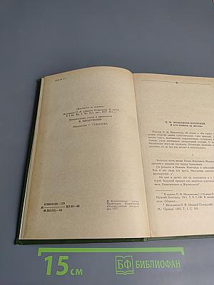 В лесах. Книга первая