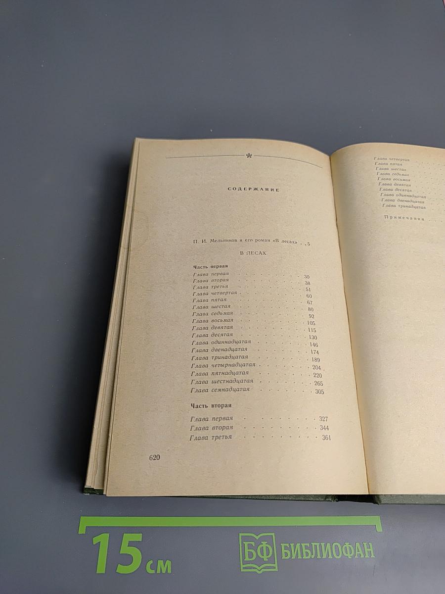 В лесах. Книга первая