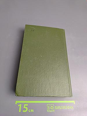 В лесах. Книга первая