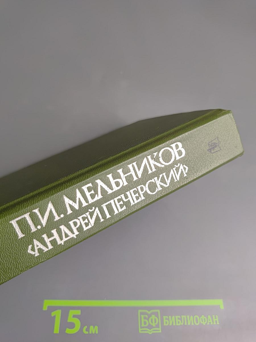 В лесах. Книга первая