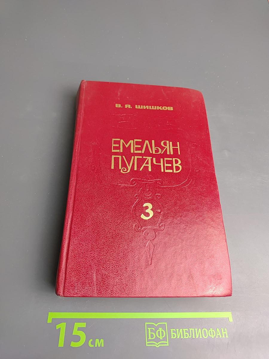 Емельян Пугачев, Книга 3