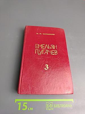 Емельян Пугачев, Книга 3