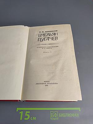 Емельян Пугачев, Книга 3