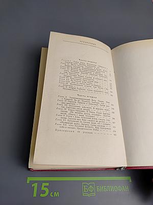 Емельян Пугачев, Книга 3