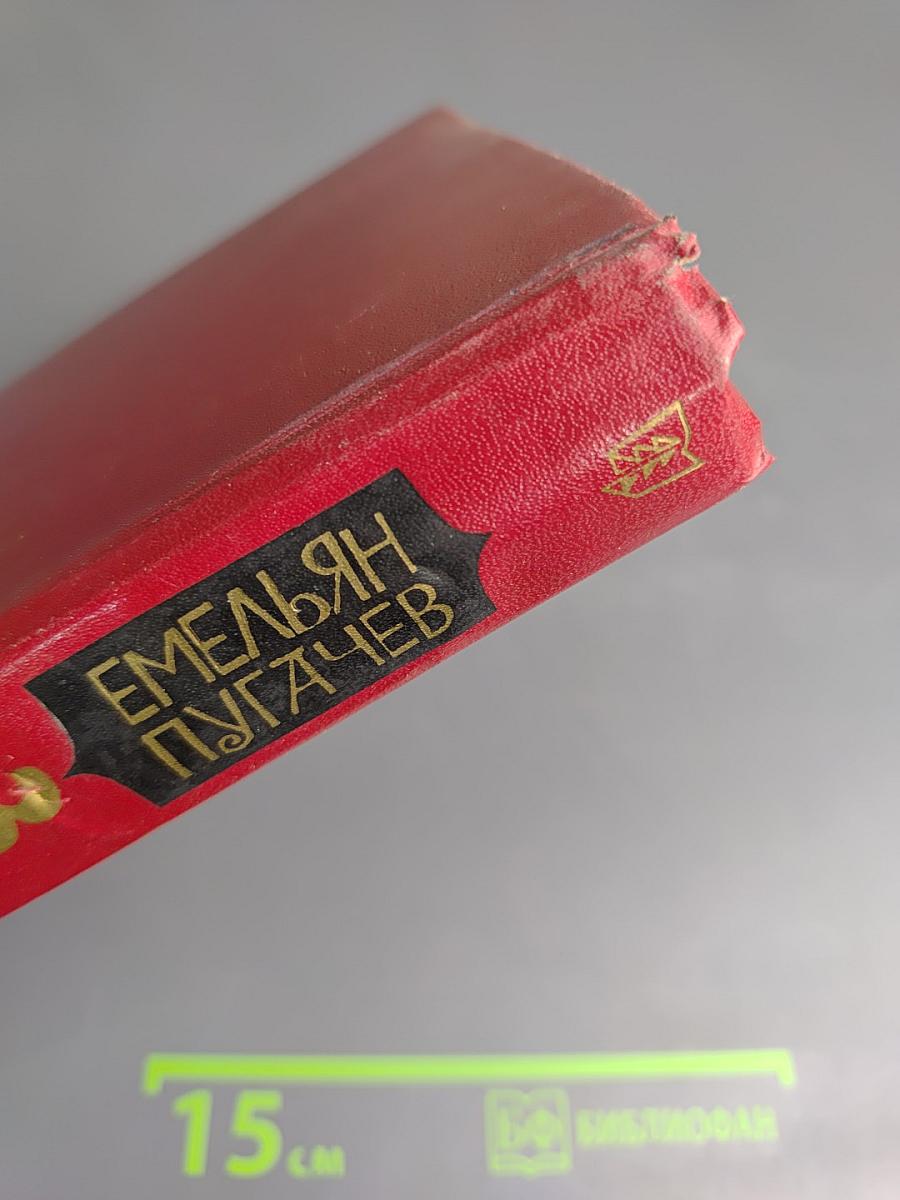 Емельян Пугачев, Книга 3