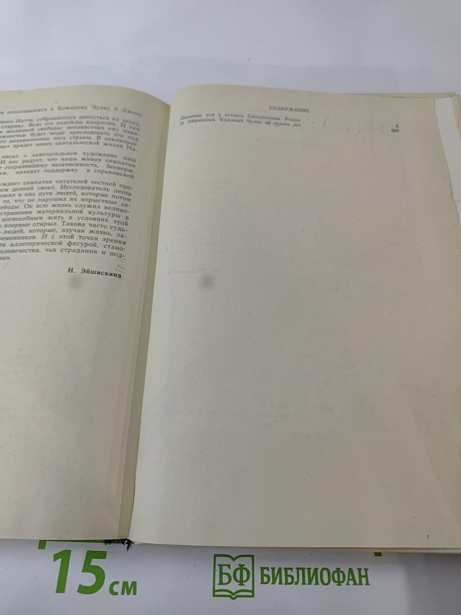 Пионеры, или У истоков Саскуйханны