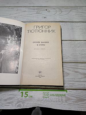 Огонёк далеко в степи
