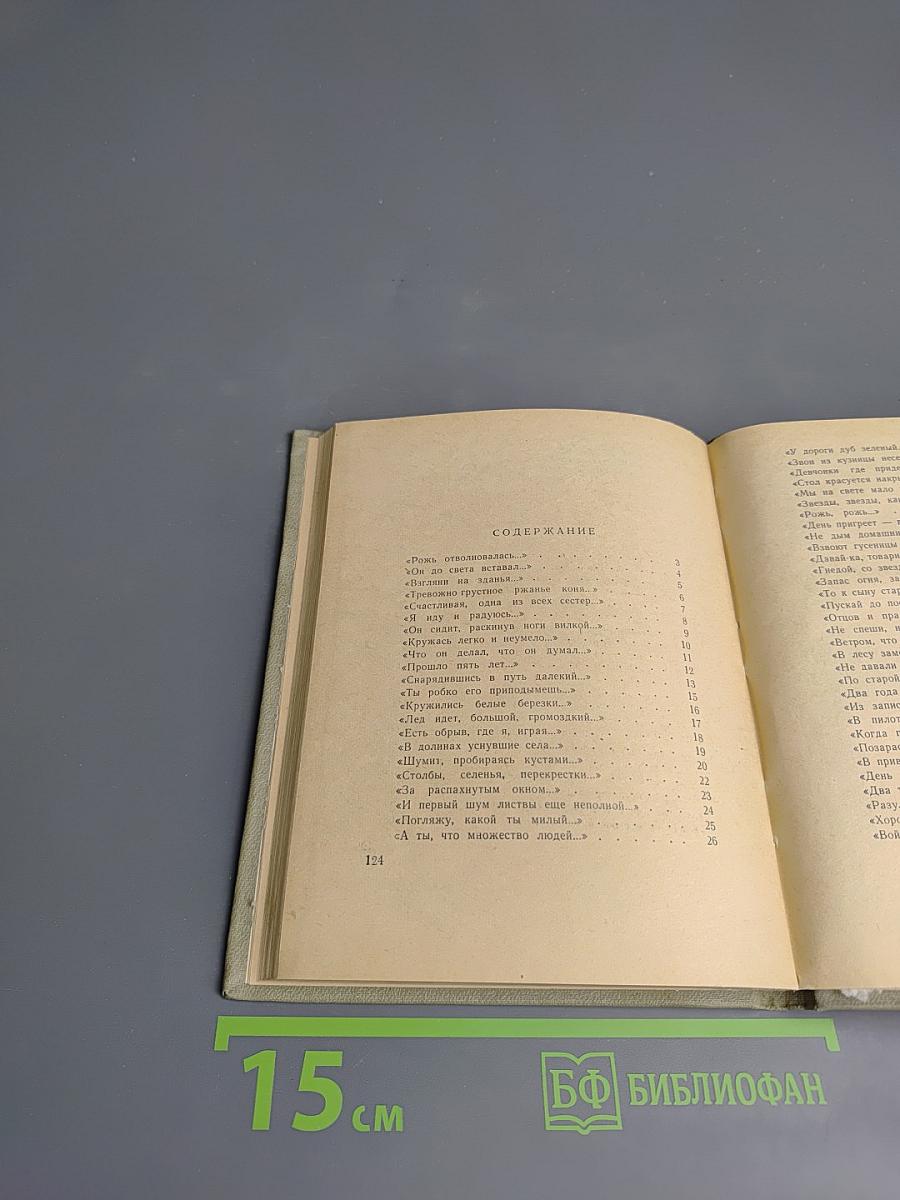 Стихи из записной книжки