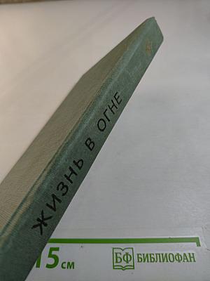 Жизнь в огне
