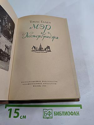 Мэр Кестербриджа