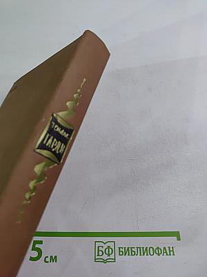 Мэр Кестербриджа