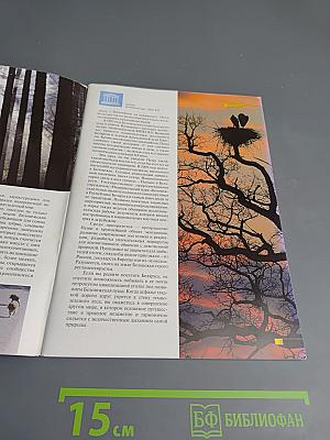 Беловежская пуща. Дыхание природы