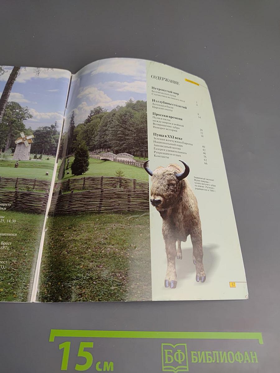 Беловежская пуща. Дыхание природы