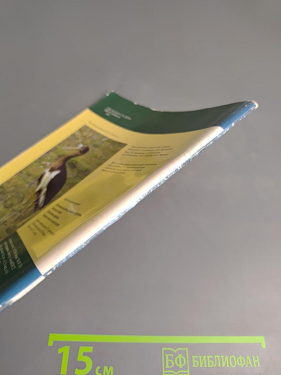 Беловежская пуща. Дыхание природы