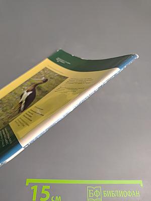 Беловежская пуща. Дыхание природы