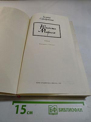 Юность Маркса. Книга первая