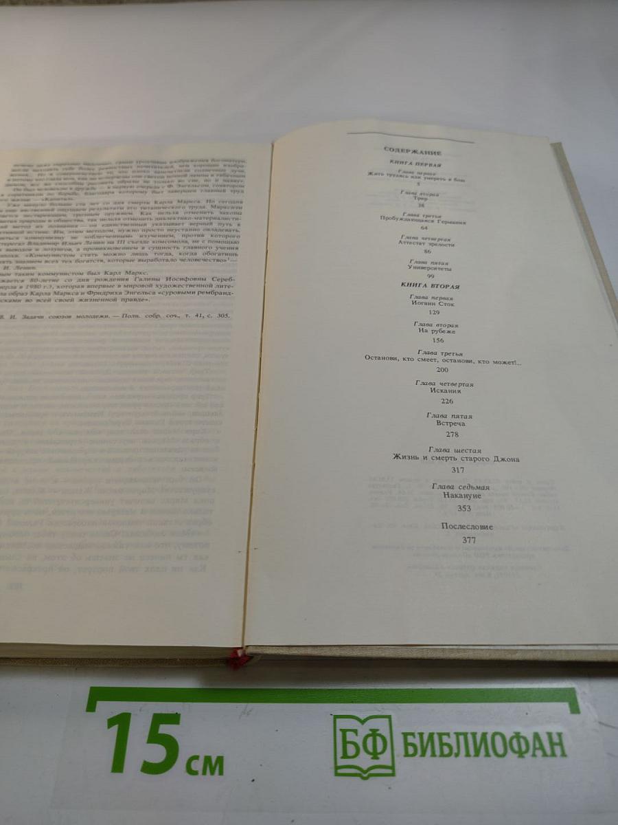 Юность Маркса. Книга первая