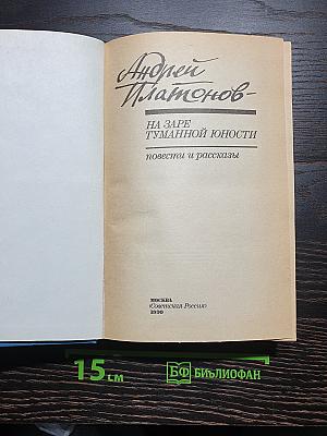 На заре туманной юности