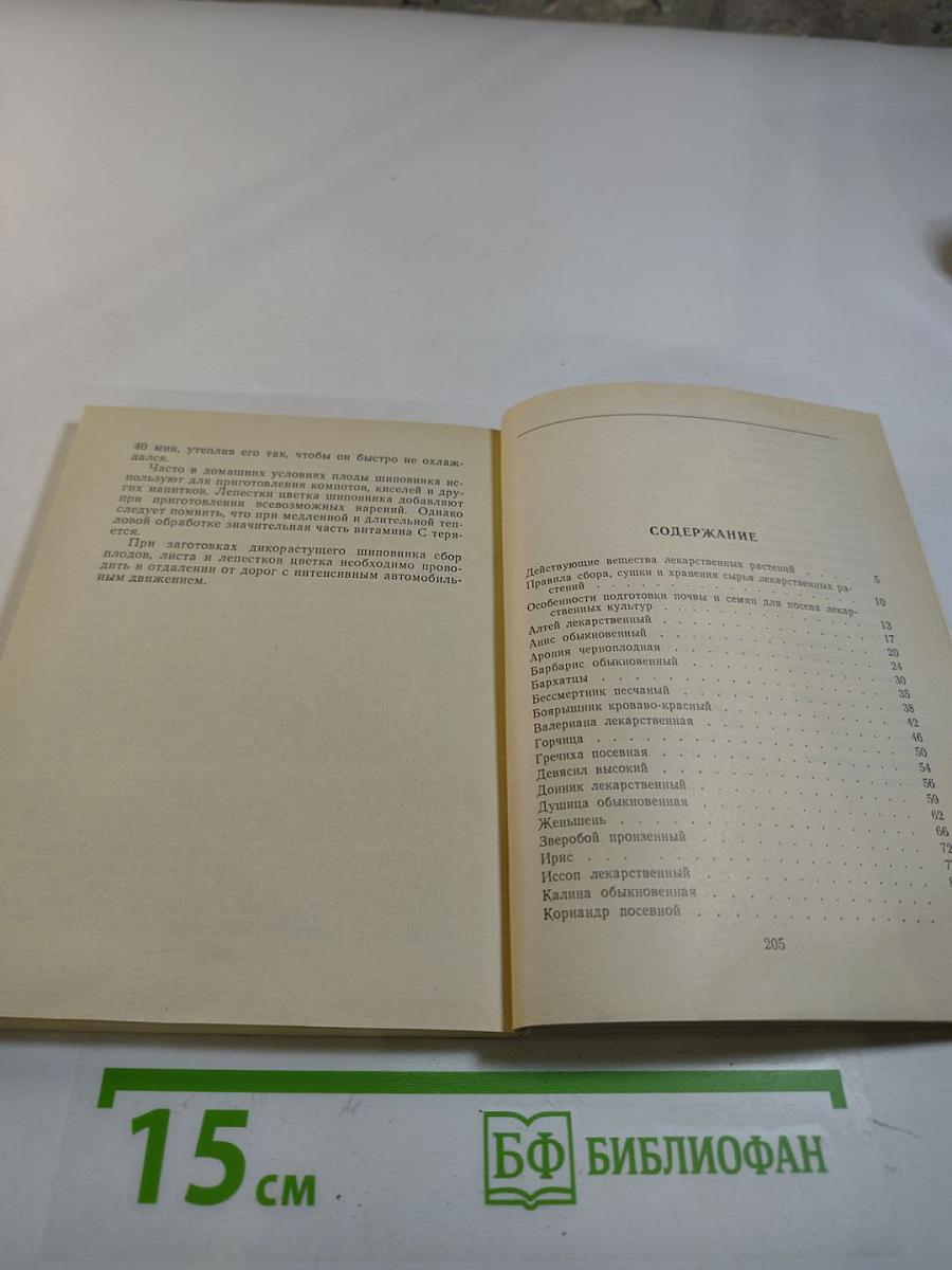 Лекарственные растения на приусадебных участках