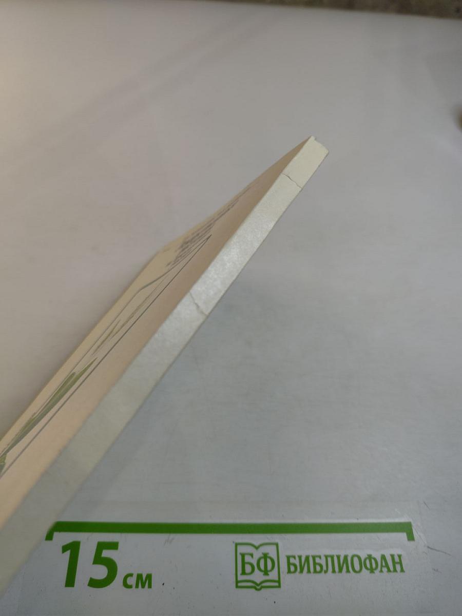 Лекарственные растения на приусадебных участках