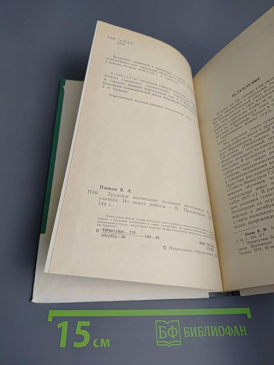 Трудовое воспитание младших школьников