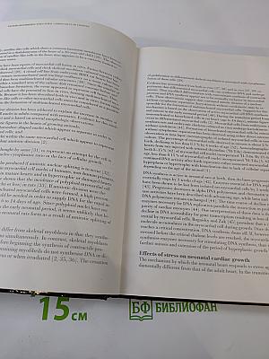 Hypertension: Pathophysiology and Clinical Implications of Early Structural Changes