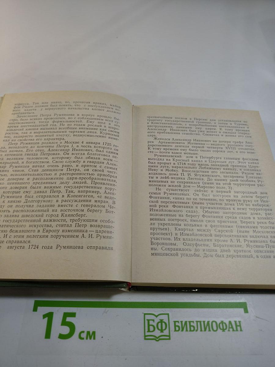 Румянцев в Петербурге