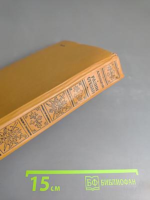 Разин Степан