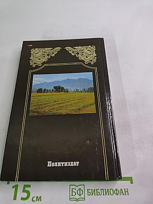 Китайцы о себе