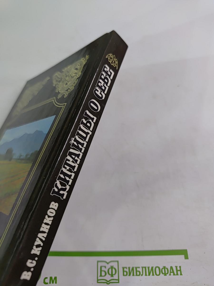 Китайцы о себе