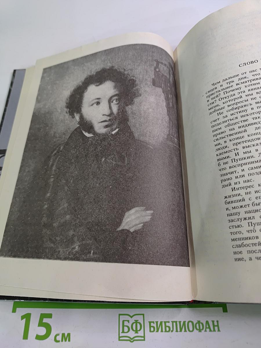 Рядом с Пушкиным. Портреты, кистью и пером