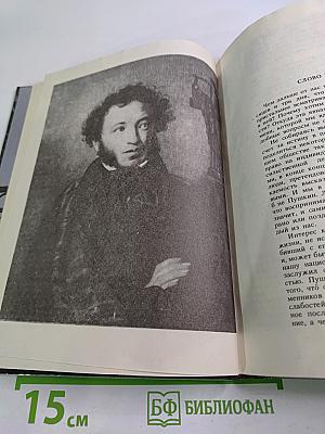 Рядом с Пушкиным. Портреты, кистью и пером