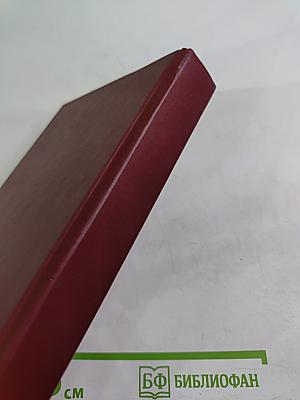 Заложники заблуждения