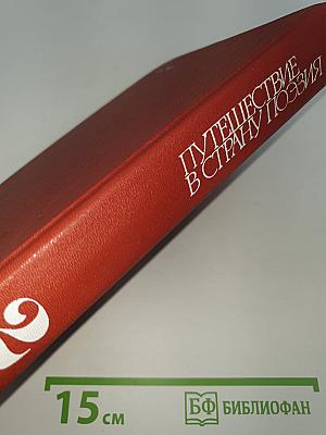 Путешествие в страну Поэзия. Книга 2