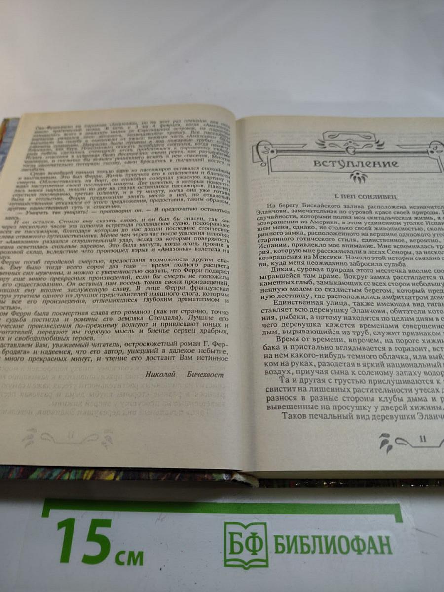 Лесной бродяга