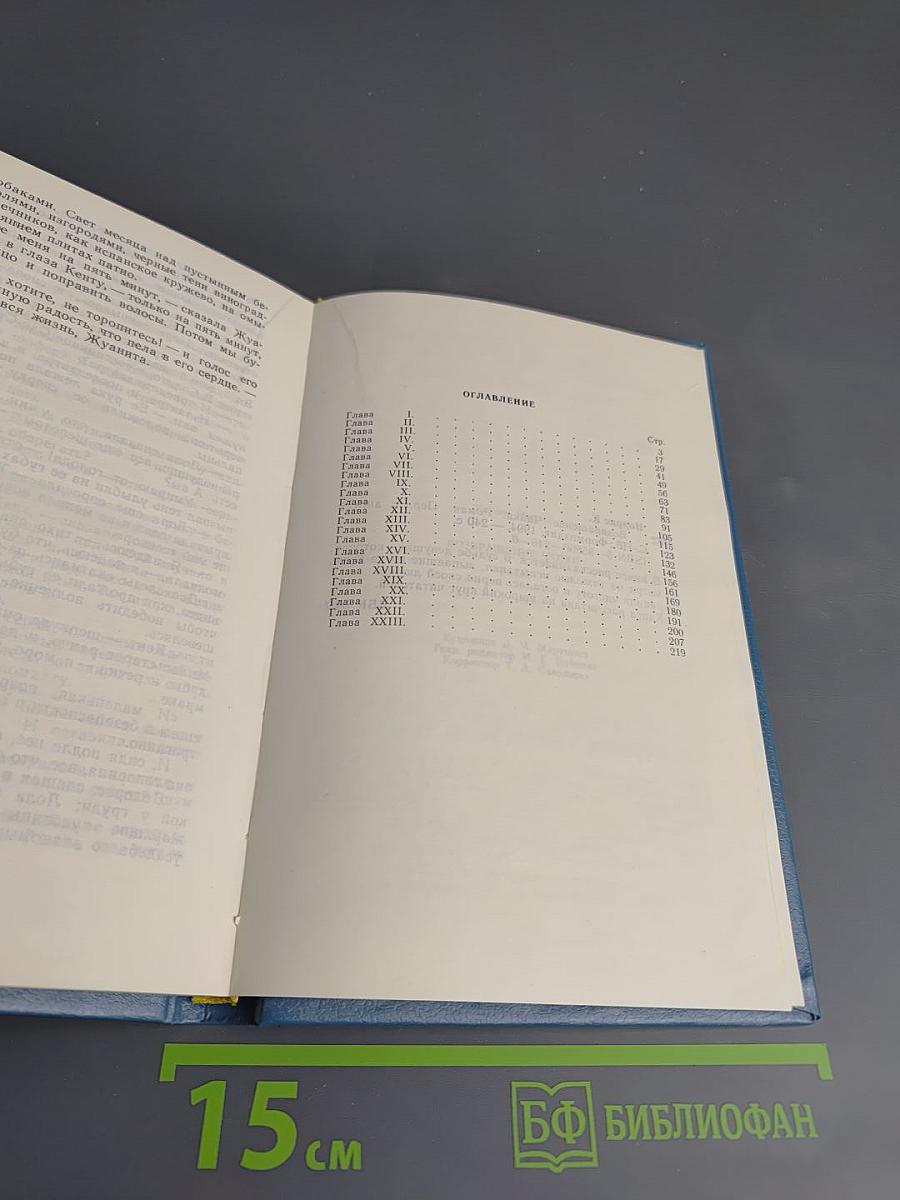 Возвращение Райки