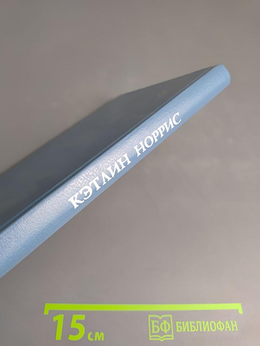 Возвращение Райки