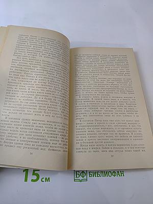 Лакомый кусочек