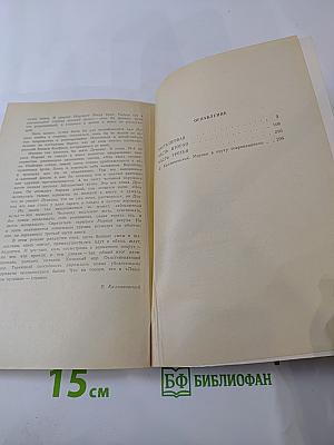 Лакомый кусочек