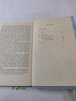 Горький среди нас