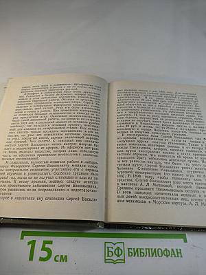 Лебедев в Петербурге - Петрограде - Ленинграде