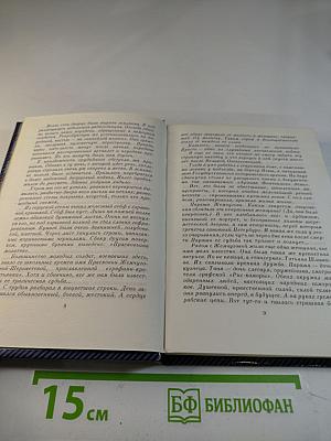 Фонтанный дом