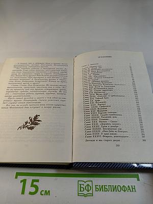 Фонтанный дом