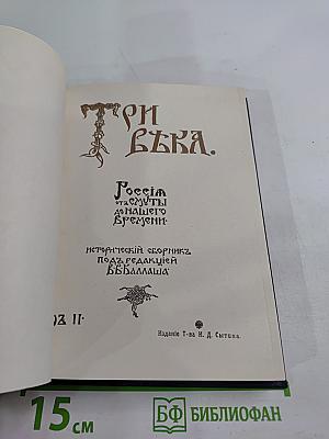 Три вѣка. Россія отъ смуты до нашего времени. Том II