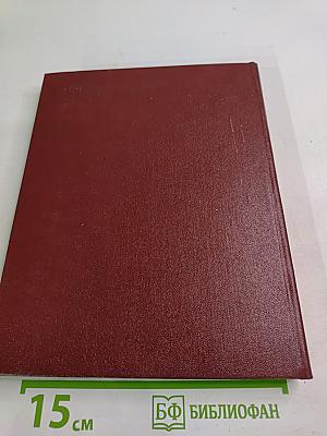 Товарищи и жорцы